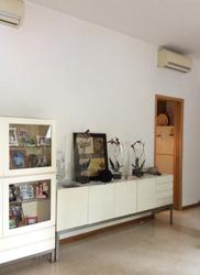 Carabelle (D5), Condominium #66900022